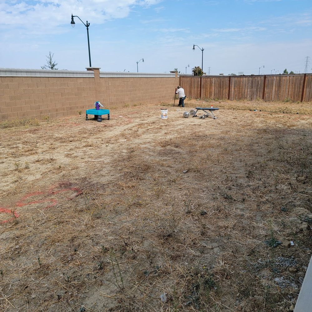 Zoe Landscaping - Before photo - Landscape Architects or Designers Near Me