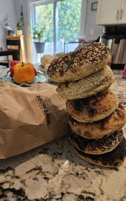 Rover Bagel by null Rover Bagel by null