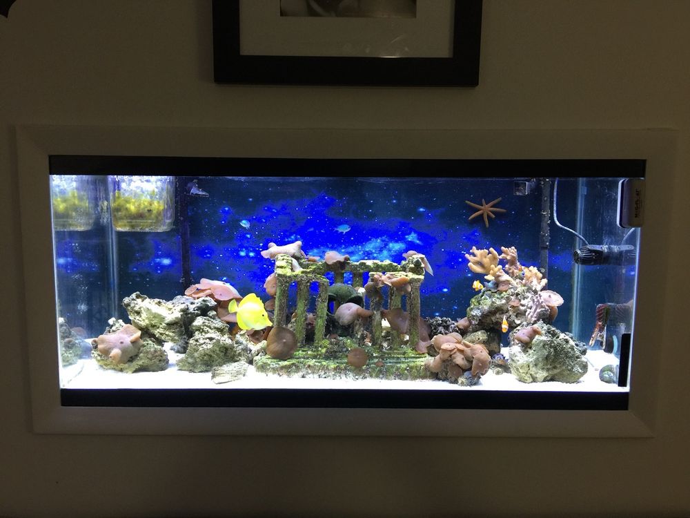 Aqua Mart Image