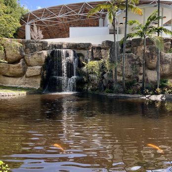 Jungle Island - Amusement Parks Near Me - Miami, Florida Jungle Island - Amusement Parks Near Me - Miami, Florida