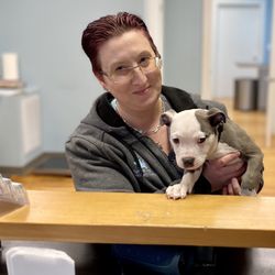 Spring Glen Veterinary Clinic - Sara is Spring Glen Vet's Technician Supervisor for 10+ years.