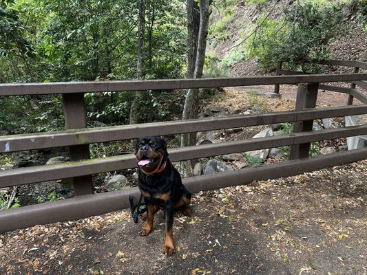 Solstice Canyon by null