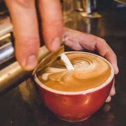 Small latte