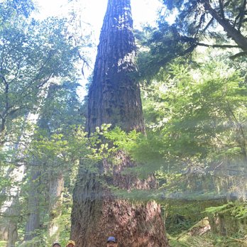 Evergreen Escapes - Tours Near Me - Seattle, Washington