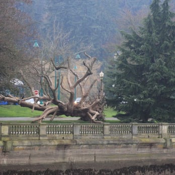 Stanley Park - Parks Near Me - Vancouver, British Columbia