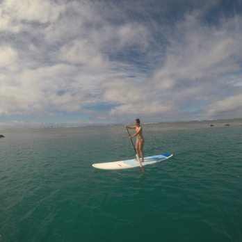 Pure Aloha Adventures - Tours Near Me - Honolulu, Hawaii