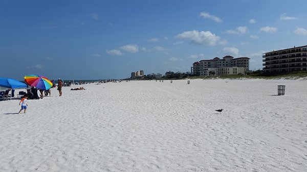 Andrew Davis -  Action First