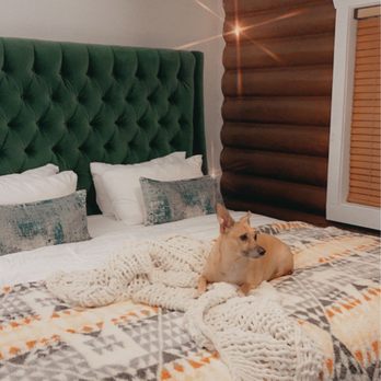 Alaskan Inn - Pet friendly and Carter loved it! - Hotels Near Me - Ogden, Utah Alaskan Inn - Pet friendly and Carter loved it! - Hotels Near Me - Ogden, Utah