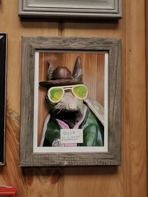 Meow Wolf Houston | Radio Tave by null