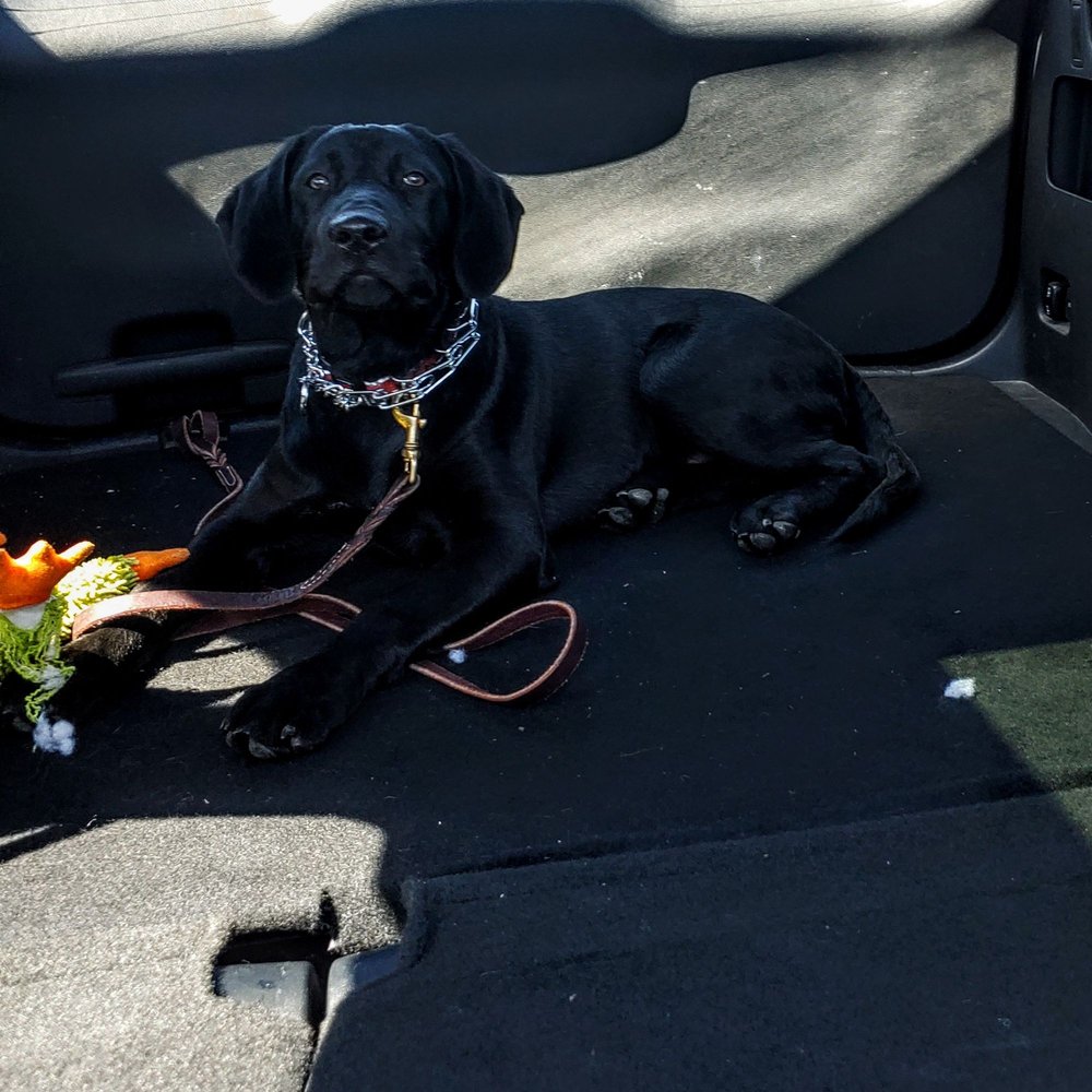 THE HOME DEPOT Updated September 2024 44 Reviews 3001 Plainfield Rd, Joliet, Illinois