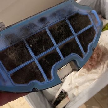 RCR Home Services - The vacuum filter after running it for 5 min to clean up RCR's mess! - Chimney Sweeps Near Me - Stamford, Connecticut RCR Home Services - The vacuum filter after running it for 5 min to clean up RCR's mess! - Chimney Sweeps Near Me - Stamford, Connecticut
