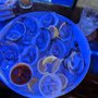 Photo of Lou's Blues