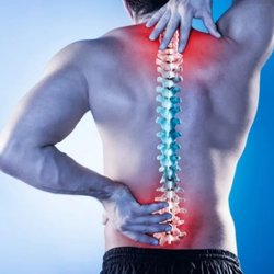 Davison Chiropractic
