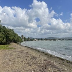 Bahia Jauca