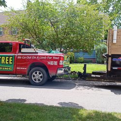 Tony's Tree and Landscaping