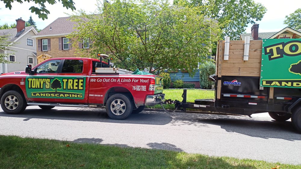 Tony's Tree and Landscaping - tree service in Cheektowaga, NY
