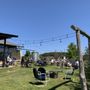Photo of Cellar Door Wine Tours