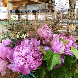 Le Boulanger de l'Hôtel de Ville - Jocteur - Entry peonies