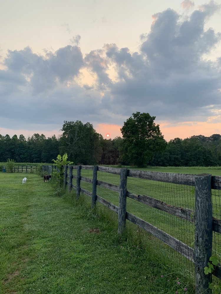 MASTERSON STATION DOG PARK Updated October 2024 49 Photos & 31