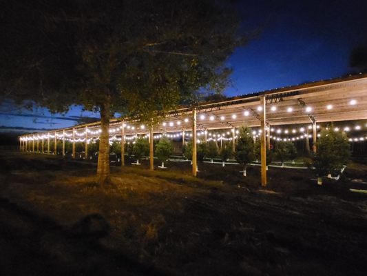 Hobe Sound Farmers Market by null