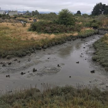 Arcata Marsh Interpretive Center - Museums Near Me - Arcata, California