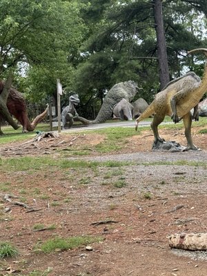 Dinosaur Land by null