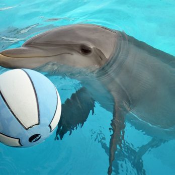 Ocean Adventures - Aquariums Near Me - Gulfport, Mississippi