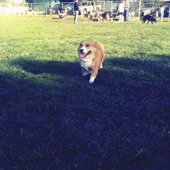 Arbor Dog Park - Dog Parks Near Me - Los Alamitos, California Arbor Dog Park - Dog Parks Near Me - Los Alamitos, California