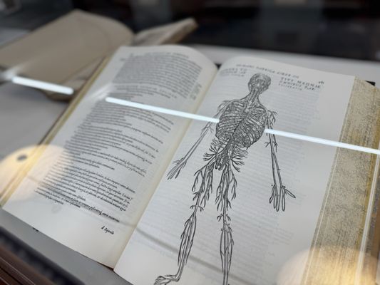 The Mütter Museum at The College of Physicians of Philadelphia by null