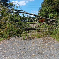 Fountain Lake Trail - This is not typical, this is right after Milton