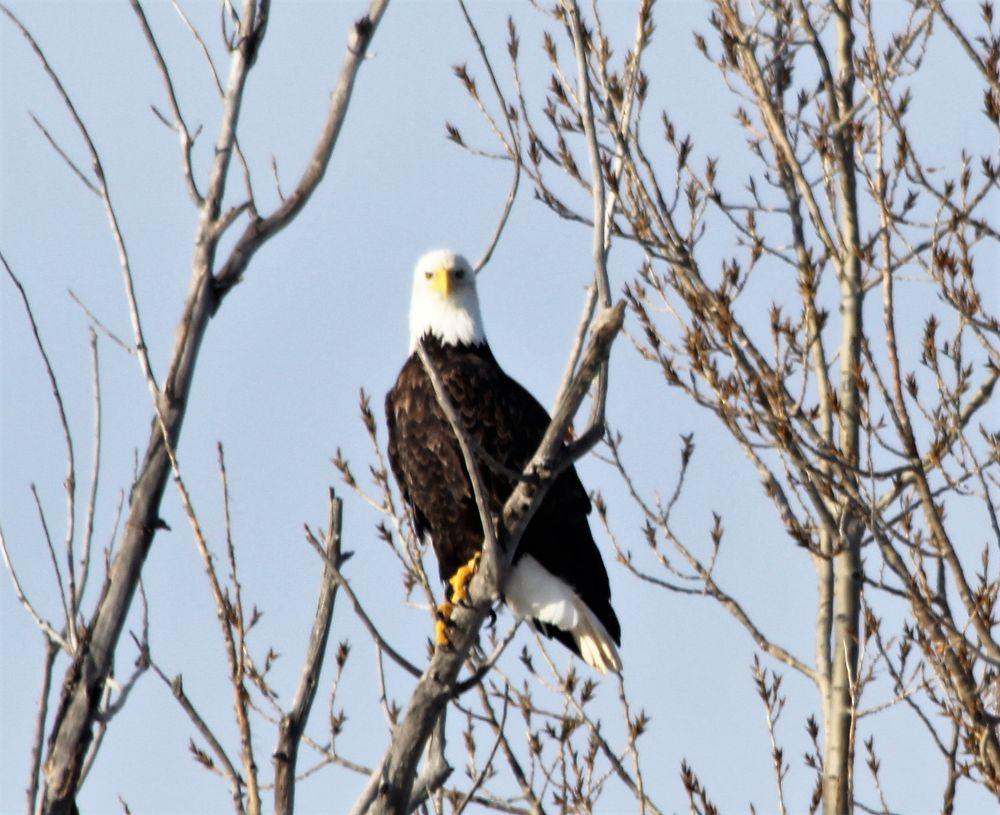 BIG COUNTRY RV PARK Updated April 2024 11 Photos 13821 60th St NW