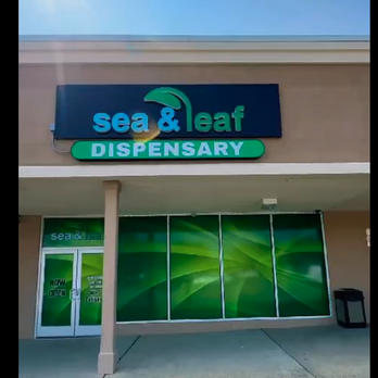 Sea and Leaf - Experience top-quality products and exceptional customer service every time you visit Sea & Leaf Cannabis dispensary. - Cannabis Dispensaries Near Me - Cape May, New Jersey Sea and Leaf - Experience top-quality products and exceptional customer service every time you visit Sea & Leaf Cannabis dispensary. - Cannabis Dispensaries Near Me - Cape May, New Jersey