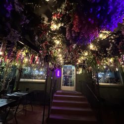 Safari Restaurant And Bar - Outdoor patio