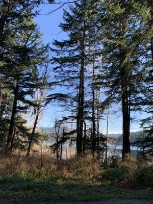 Lake Padden Park by null