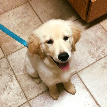 Suffern Animal Hospital - Veterinarians Near Me - Suffern, New York Suffern Animal Hospital - Veterinarians Near Me - Suffern, New York