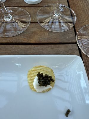 Davies Vineyards by null