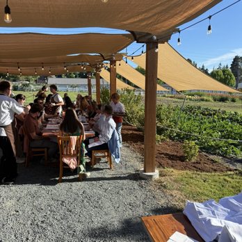 Orchard Kitchen - Modern European Near Me - Langley, Washington
