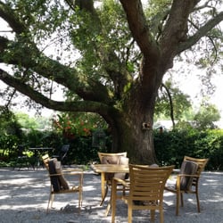 Shade Tree Cafe - A must destination for lunch. Large shade tree dining in back under a humongous oak.