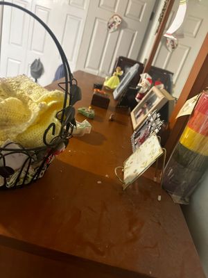 DOMINION CLEANING SERVICES - Updated January 2025 - 34 Photos - 7921A W