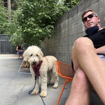 Lake Arrowhead Brewing - Dog friendly! - Breweries Near Me - Lake Arrowhead, California