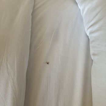 Red Roof Inn Clyde - Bugs in bed, plugs won't work, bathtub dirty and soft from leaking, room stayed in. - Hotels Near Me - Clyde, Ohio Red Roof Inn Clyde - Bugs in bed, plugs won't work, bathtub dirty and soft from leaking, room stayed in. - Hotels Near Me - Clyde, Ohio