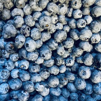 Pedrick Produce - Delicious Blueberries - Fruits & Veggies Near Me - Dixon, California