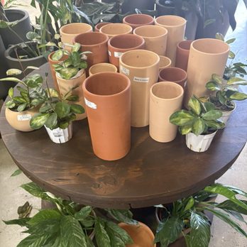 C&S Garden Center - Nurseries & Gardening Near Me - Lawndale, California C&S Garden Center - Nurseries & Gardening Near Me - Lawndale, California