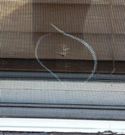 Slide of Peak Roofing & Construction