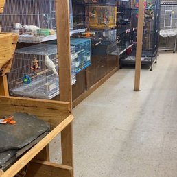 An entire wall of tiny bird cages lined up one after another, and these are some of the bigger birds not tiny finches or parakeets