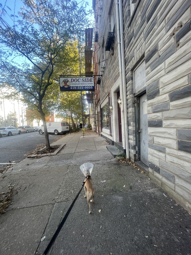 DOCSIDE VETERINARY MEDICAL CENTER Updated August 2024 25 Photos