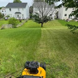 Everything Lawn Care Outdoor Services