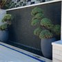 Elevation Living Walls