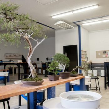 A Bonsai Practice - Art Classes Near Me - Bellevue, Washington