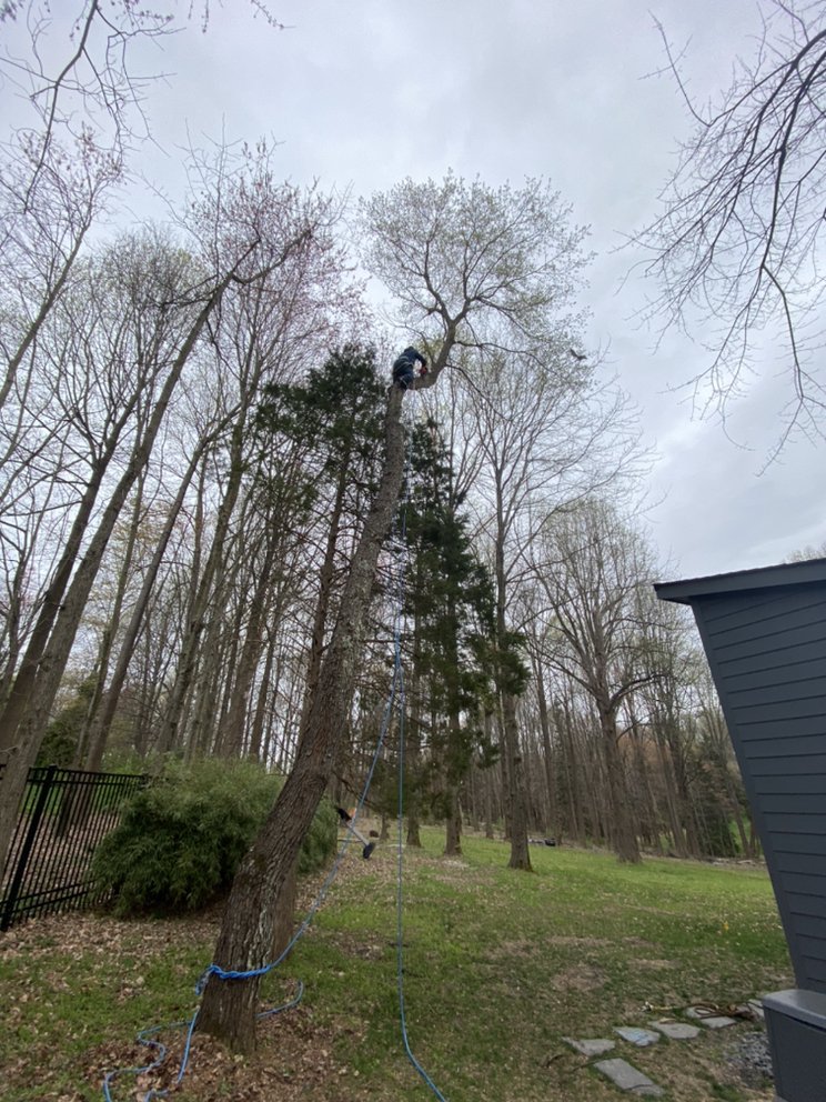 Slide of Green Landscaping
